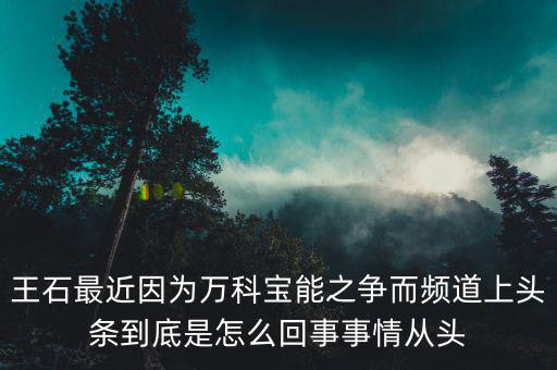 王石現(xiàn)在忙什么，王石現(xiàn)在在干什么