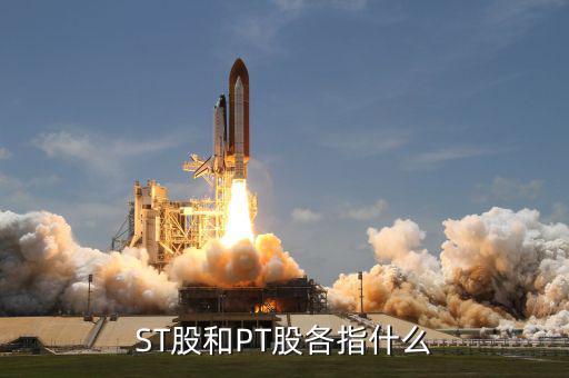 什么叫pt股，股票中PT股代表什么意思