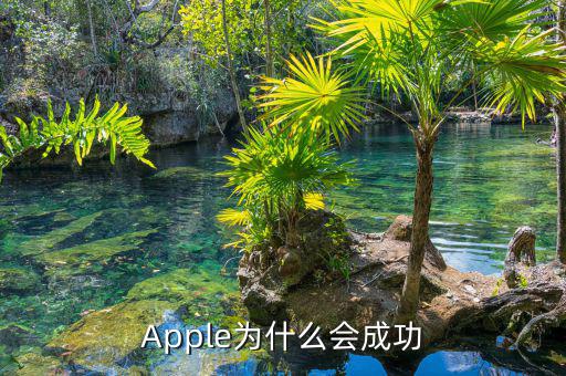 蘋果為什么能成功，為什么蘋果能做的很成功