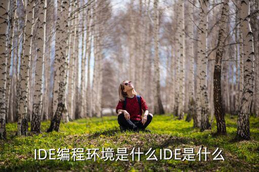 tltro是什么，虛擬內(nèi)存是什么玩意