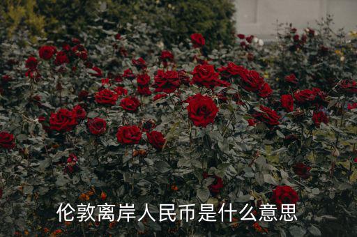 離岸人民幣是什么意思，在岸人民幣和離岸人民幣是什么意思