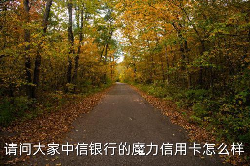 中信魔力白金卡什么樣，中信白金魔力信用卡到底是精英卡還是尊尚卡還是其它