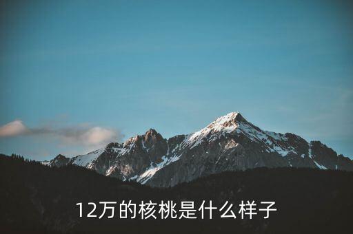 36萬核桃長什么樣，大家看這個核桃做的怎樣值多少