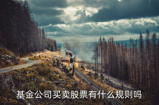 基金持有上市公司股票有什么限制嗎，基金公司買賣股票有什么規(guī)則嗎