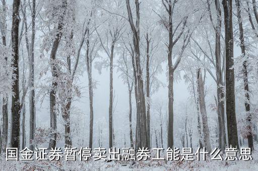 暫停融券是什么意思，國金證券暫停賣出融券工能是什么意思
