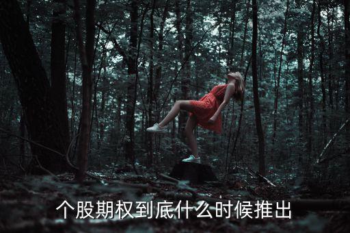 什么時候推出個股期權(quán)，股票期權(quán)什么時間開始