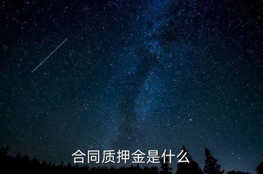 質(zhì)押金是什么，期貨中的質(zhì)押金是什么意思