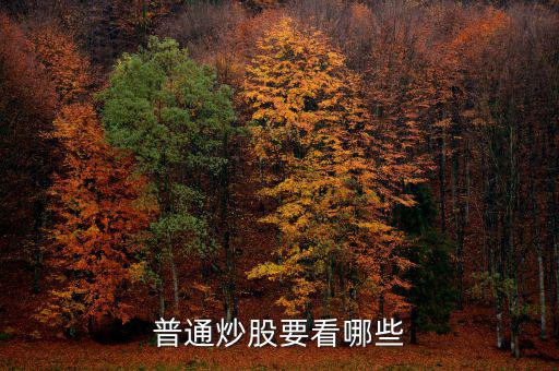 炒股每天都看什么，炒股究竟看什么怎么看