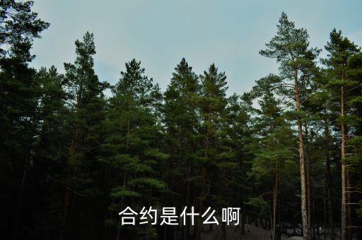 合約是什么意思，合約的意思是什么