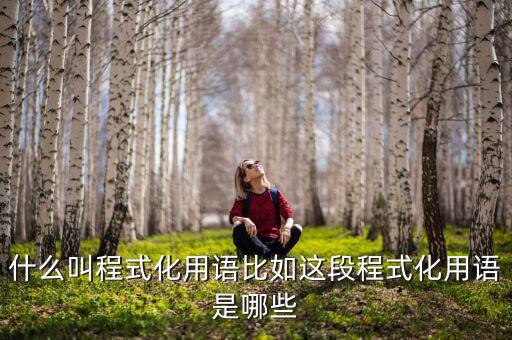 什么是程式化，幼兒園程式化活動是什么意思