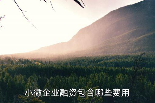 小微企業(yè)兩禁資金管理費(fèi)指什么，減半征收城鎮(zhèn)土地使用稅和房產(chǎn)稅的小微企業(yè)標(biāo)準(zhǔn)