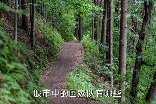 股票國家隊(duì)是什么，股票國家隊(duì)是什么意思