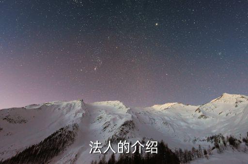 法人渠道是什么意思，法人的介紹