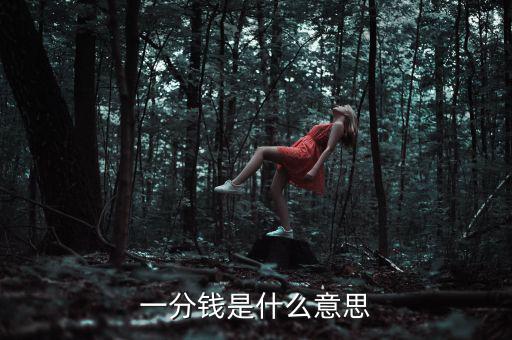 支付寶錢包一分錢是什么意思，一分錢是什么意思