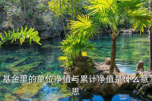 基金凈值和累計(jì)凈值是什么，基金里的單位凈值與累計(jì)凈值是什么意思