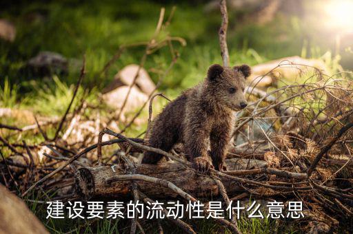什么是要素流動(dòng)，建設(shè)要素的流動(dòng)性是什么意思