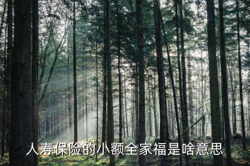 人壽全家福是什么意思，人壽保險的小額全家福是啥意思