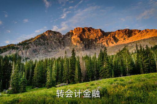 什么是外匯飽和，國(guó)外網(wǎng)友說(shuō)要轉(zhuǎn)外幣給我叫我轉(zhuǎn)給她國(guó)內(nèi)的朋友她國(guó)內(nèi)的朋友銀