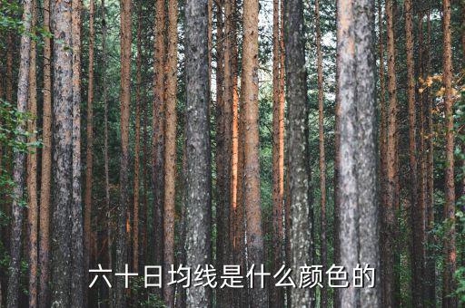 60日均線是什么顏色，5日10日60日線是什么怎么看是什么顏色