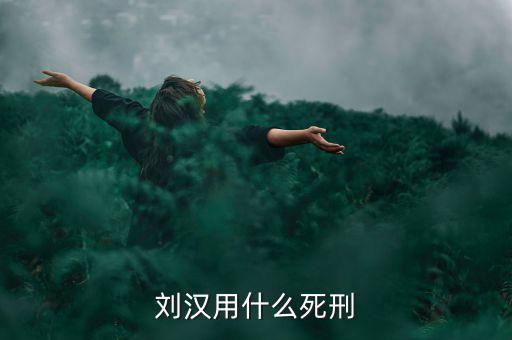 劉漢什么罪，劉漢用什么死刑