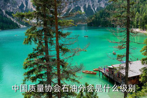 中質(zhì)協(xié)獎屬于什么級別，國藝杯屬于什么級別的獎項