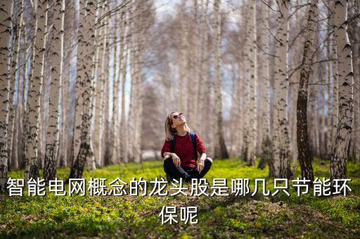 智能電網概念的龍頭股是哪幾只節(jié)能環(huán)保呢