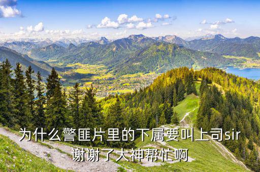 美國人下屬稱呼自己的上司為什么，當(dāng)下屬叫上司的小名或者昵稱的時候能說明什么他們之間沒情況