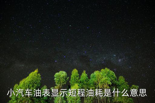 油耗顯示是指什么，請教專業(yè)人士瞬時油耗顯示是什么意思