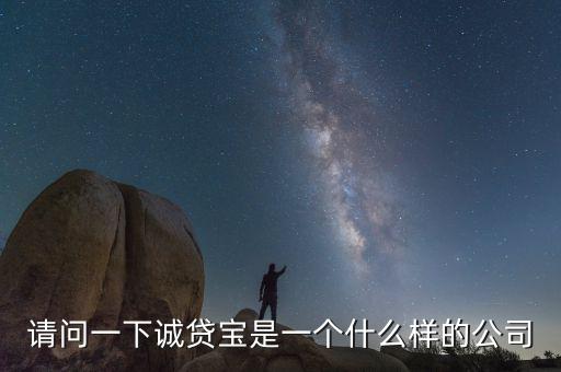 請問一下誠貸寶是一個(gè)什么樣的公司