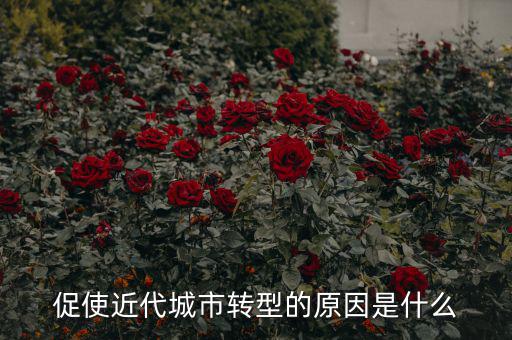 為什么城鎮(zhèn)化要轉(zhuǎn)型，促使近代城市轉(zhuǎn)型的原因是什么