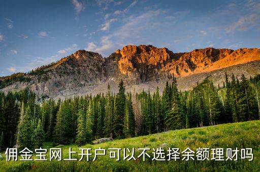 傭金寶網上開戶可以不選擇余額理財嗎