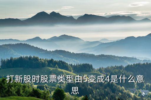 股票類型4是什么意思，打新股時股票類型由5變成4是什么意思