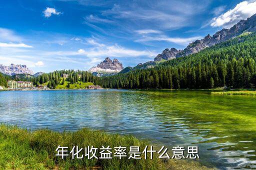 14日年化收益率是什么意思，年化收益率什么意思