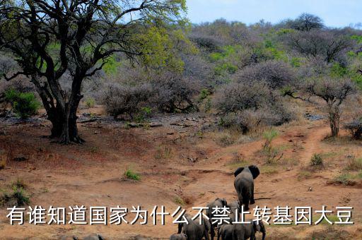 為什么不禁止轉(zhuǎn)基因食品，我國(guó)為什么不制止轉(zhuǎn)基因食品進(jìn)口