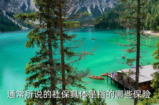 社保包括什么保險，社保具體是指的哪些保險