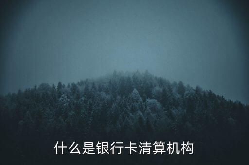 同一卡組織清算機(jī)構(gòu)指什么，銀行卡清算機(jī)構(gòu)銀行支付機(jī)構(gòu)到底有什么區(qū)