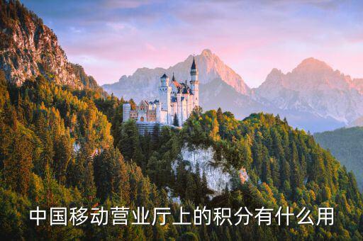 10086的積分有什么用，移動(dòng)電話積分有什么用