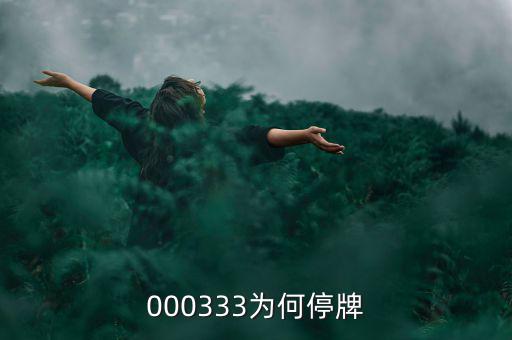 000333為什么停盤，000333為何停牌
