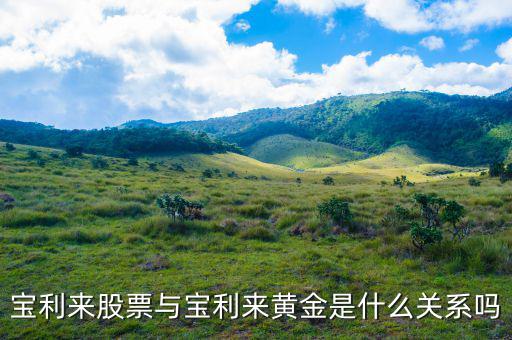 為什么寶利來(lái)大漲，寶利來(lái)會(huì)漲嗎