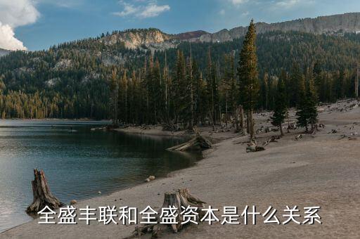 全盛資本什么背景，全盛資本是做什么的屬于哪個行業(yè)的