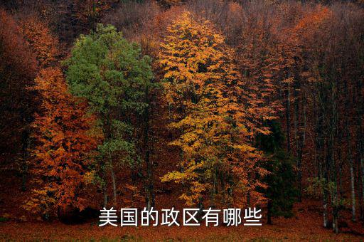 美國地方政府自治包括什么，美國的政府體制是什么