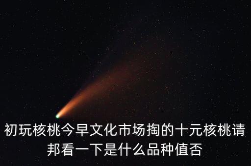 賭核桃是什么品種，請問我這個(gè)手玩核桃是什么品種好嗎值多錢