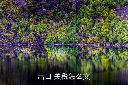 出口 關稅怎么交