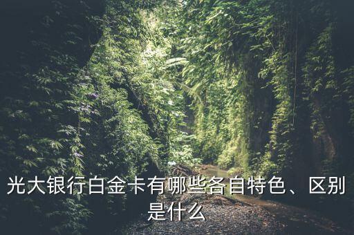 光大銀行白金卡有哪些各自特色、區(qū)別是什么