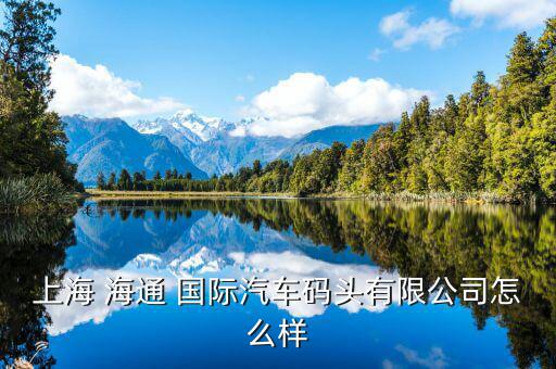 上海 海通 國(guó)際汽車(chē)碼頭有限公司怎么樣
