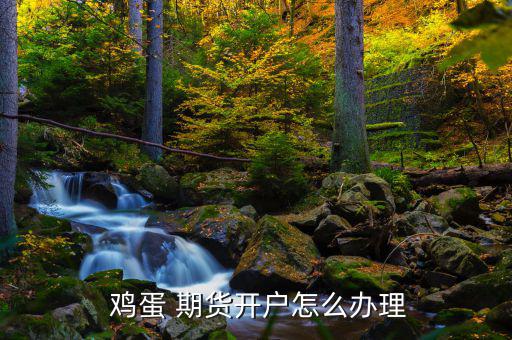  雞蛋 期貨開(kāi)戶(hù)怎么辦理