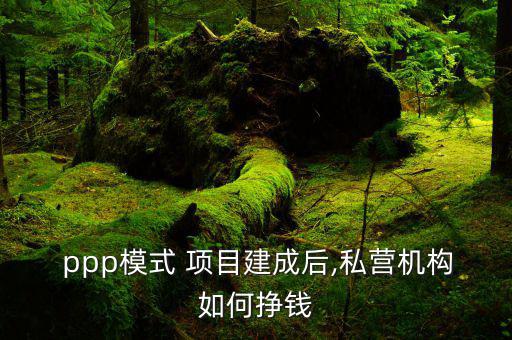  ppp模式 項目建成后,私營機(jī)構(gòu)如何掙錢