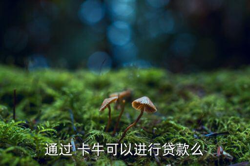 通過 卡?？梢赃M(jìn)行貸款么