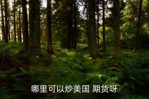 怎么炒美國期貨,期貨交易特點:交易費(fèi)用由期貨公司提供；