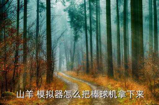  山羊 模擬器怎么把棒球機(jī)拿下來(lái)